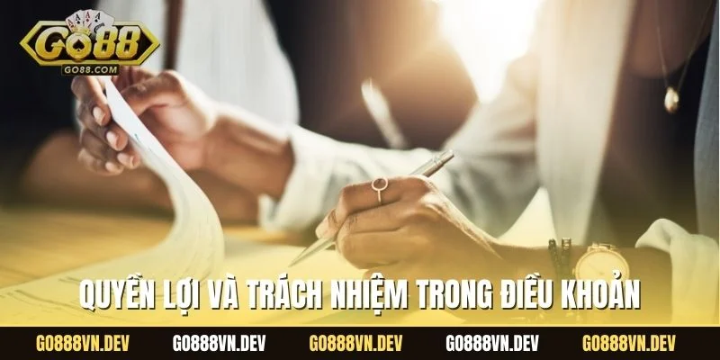 Quyền lợi và trách nhiệm trong điều khoản